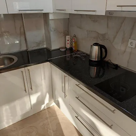 Apartment Gajovic Pale