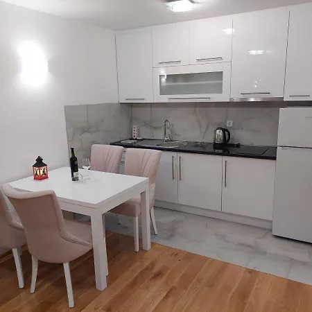 Appartement Gajovic *