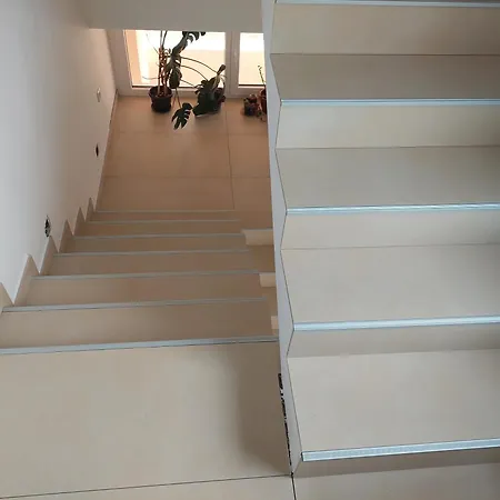 Gajovic Apartment *